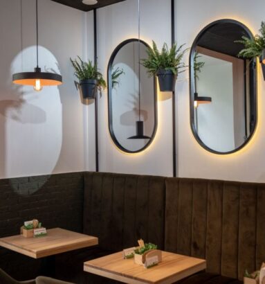 mirror mounting